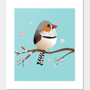 Cute egg shaped red zebra finch Posters and Art